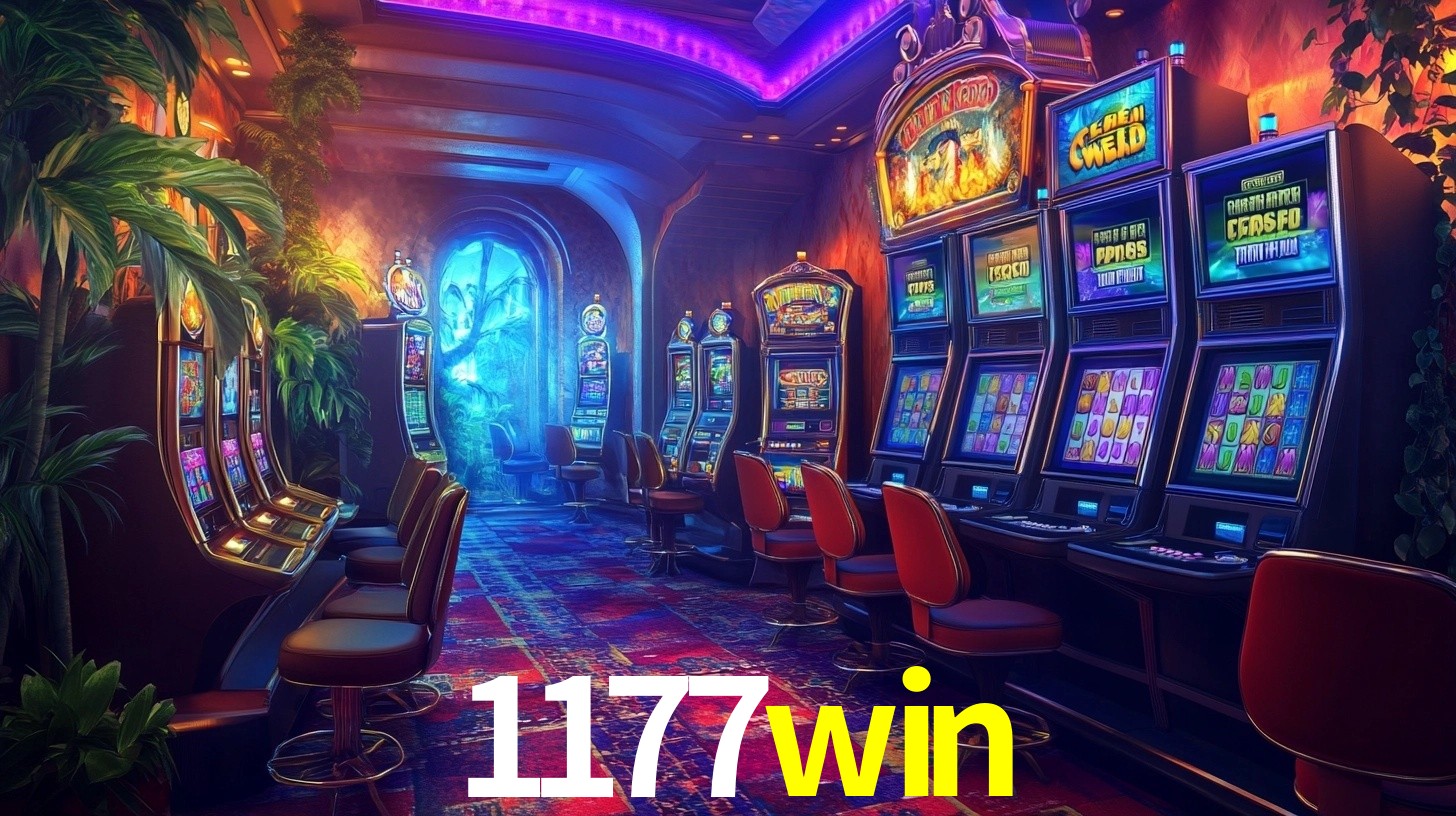 1177win App Interface